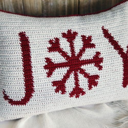 https://leeleeknits.com/wp-content/uploads/2020/11/Holiday-Throw-Pillows-26-1-1-500x500.jpg